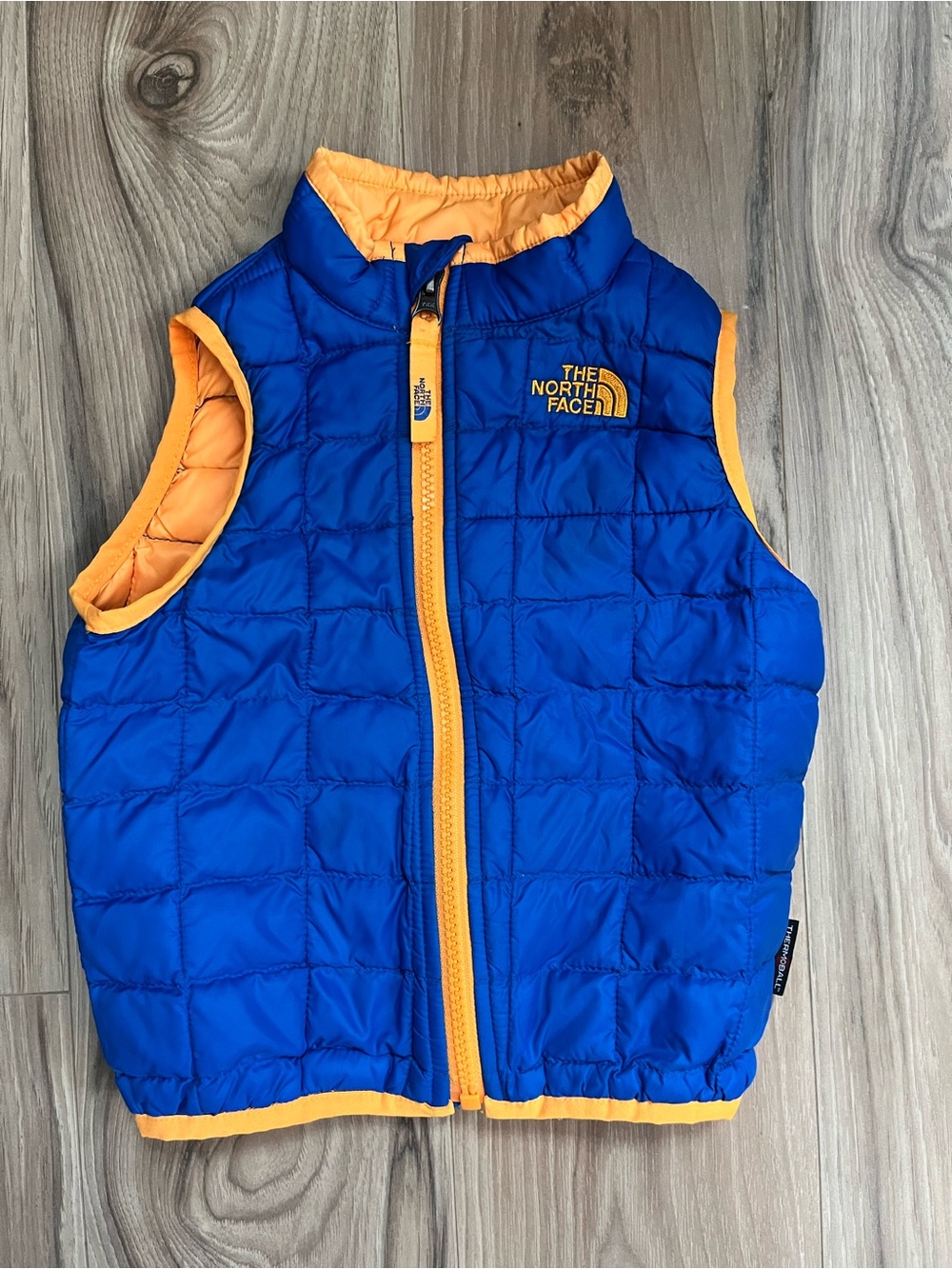 Vintage North Face winter vest